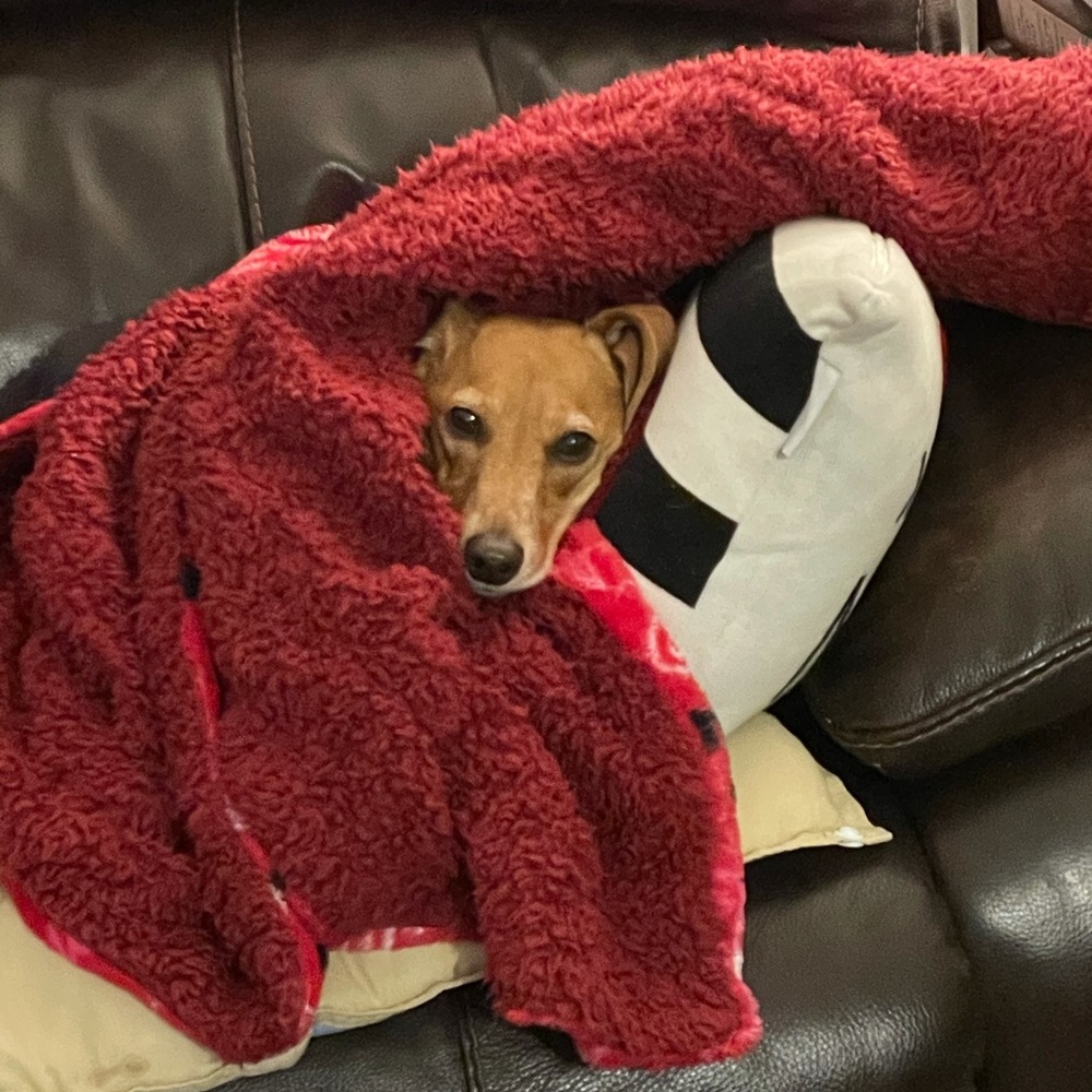 Meet your Posher, Chanda